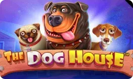 Bwin Casino offre il gioco online The Dog House